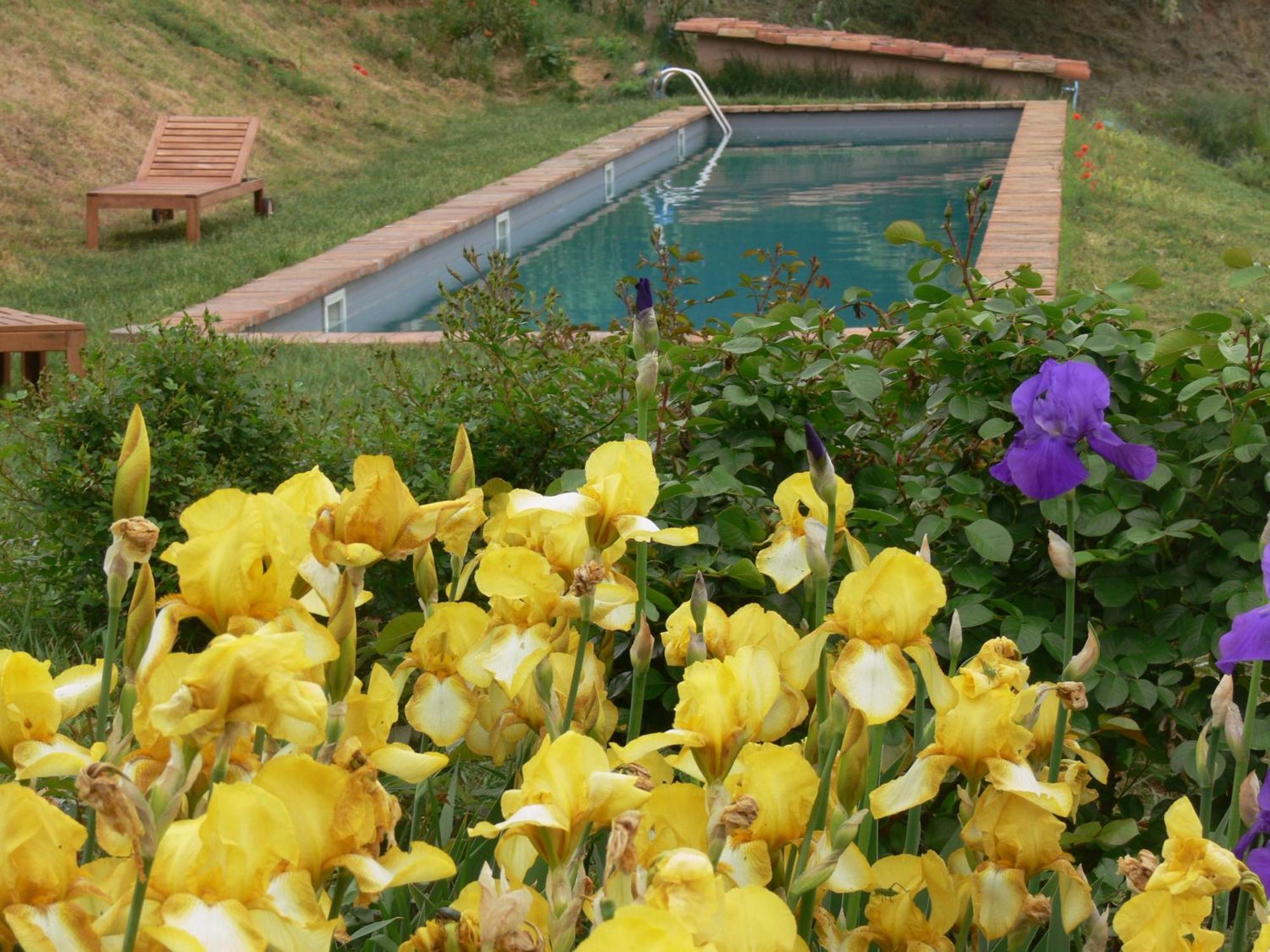 바글리오 세라 Casa Isabella 게스트하우스 외부 사진