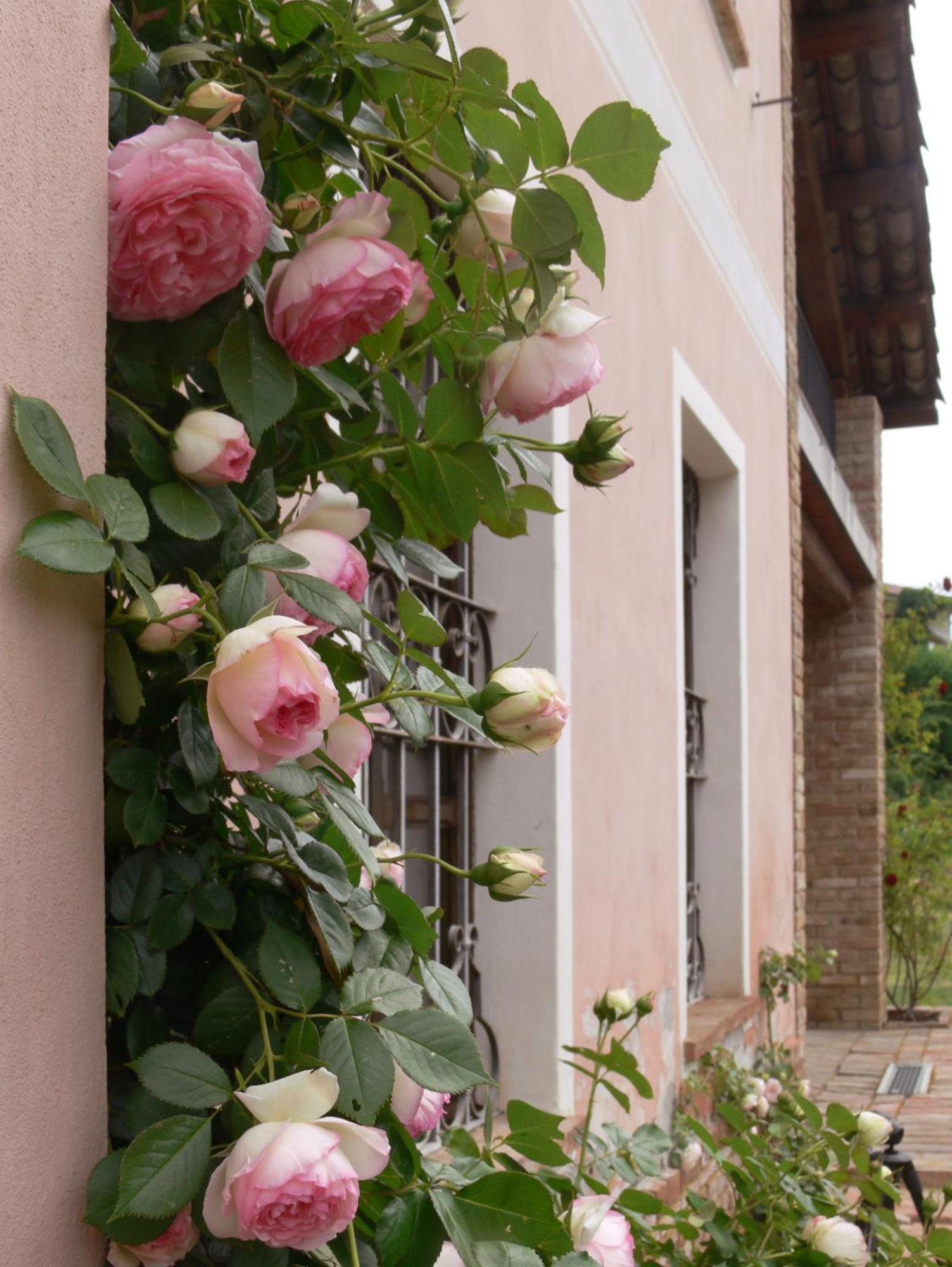 바글리오 세라 Casa Isabella 게스트하우스 외부 사진